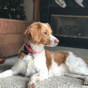 Meet your Posher, Drew